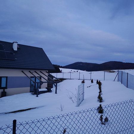 Blizejgorcow Villa Lubomierz  Екстериор снимка